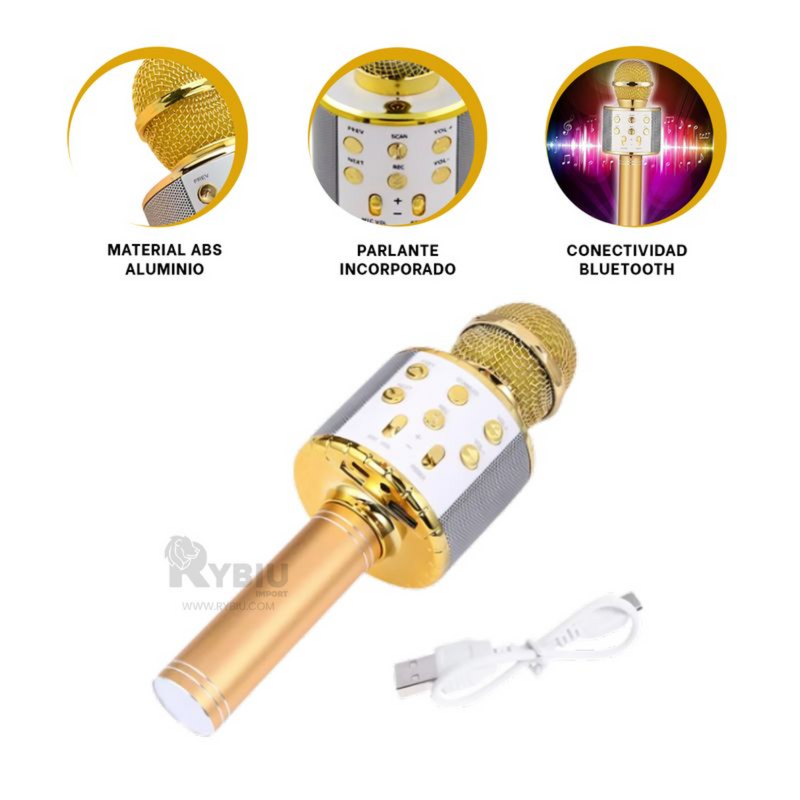 Micrófono Karaoke